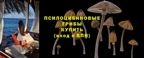 мдпв Лабытнанги