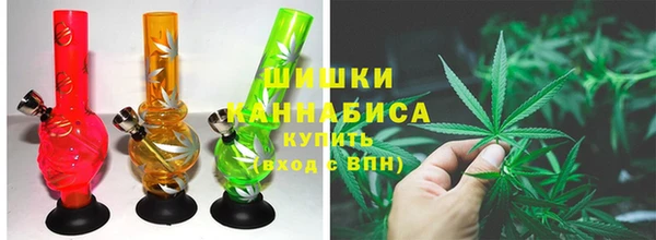 мдпв Лабытнанги