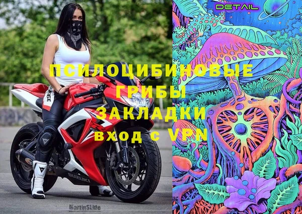 твердый Кукмор