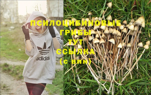 мдпв Лабытнанги