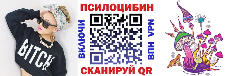 Псилоцибиновые грибы Cubensis  Купить где  Задонск 